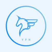 飞马加速器是什么